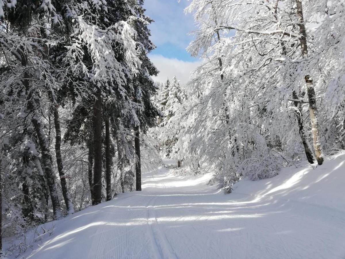 Ferme Des Deux Freres, Autrans, Vercors Bagian luar foto