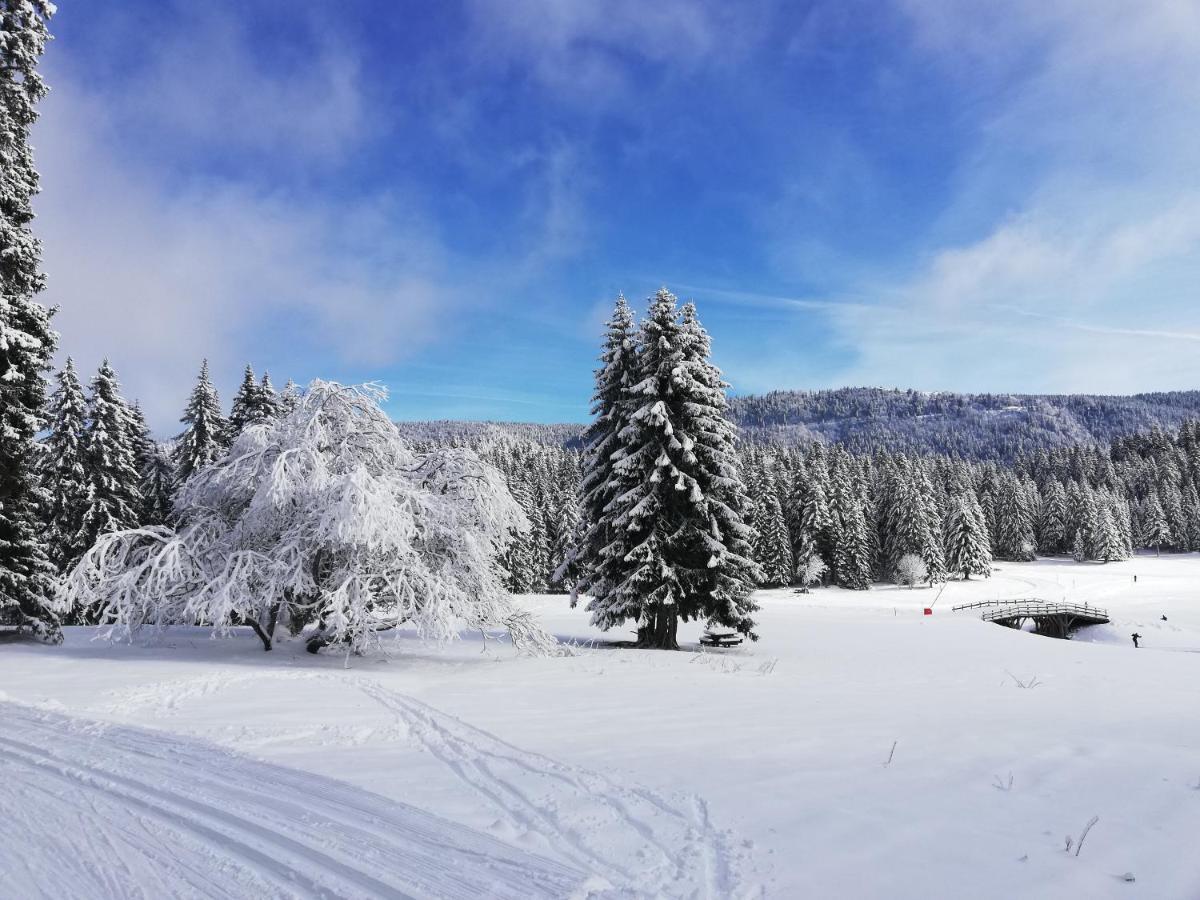 Ferme Des Deux Freres, Autrans, Vercors Bagian luar foto