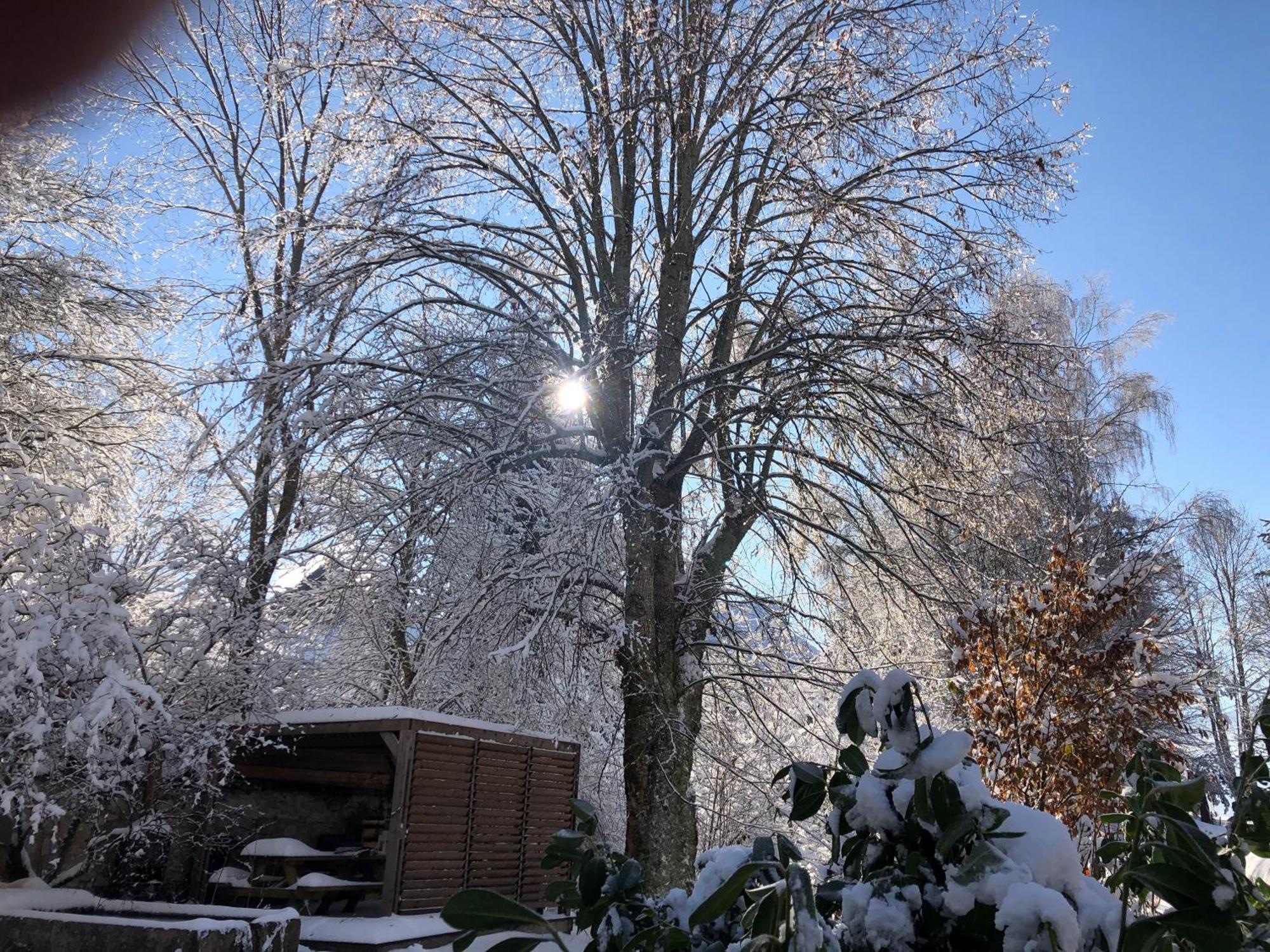 Ferme Des Deux Freres, Autrans, Vercors Bagian luar foto